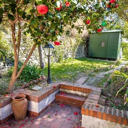 Apartment Villetta Ombretta